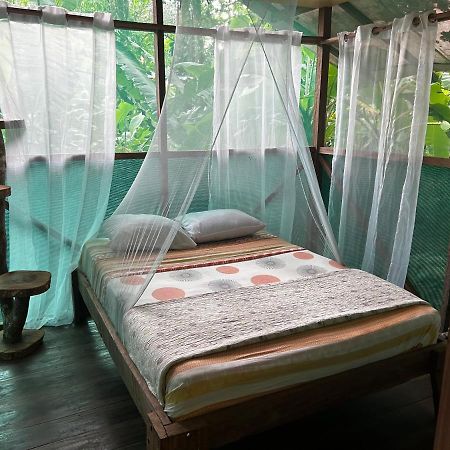 Rio Agujitas Eco Farm Hostel And Tours Дрейк Екстер'єр фото