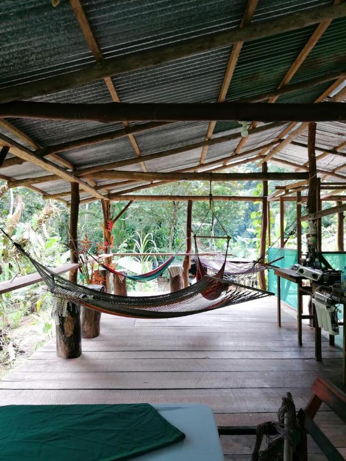 Rio Agujitas Eco Farm Hostel And Tours Дрейк Екстер'єр фото