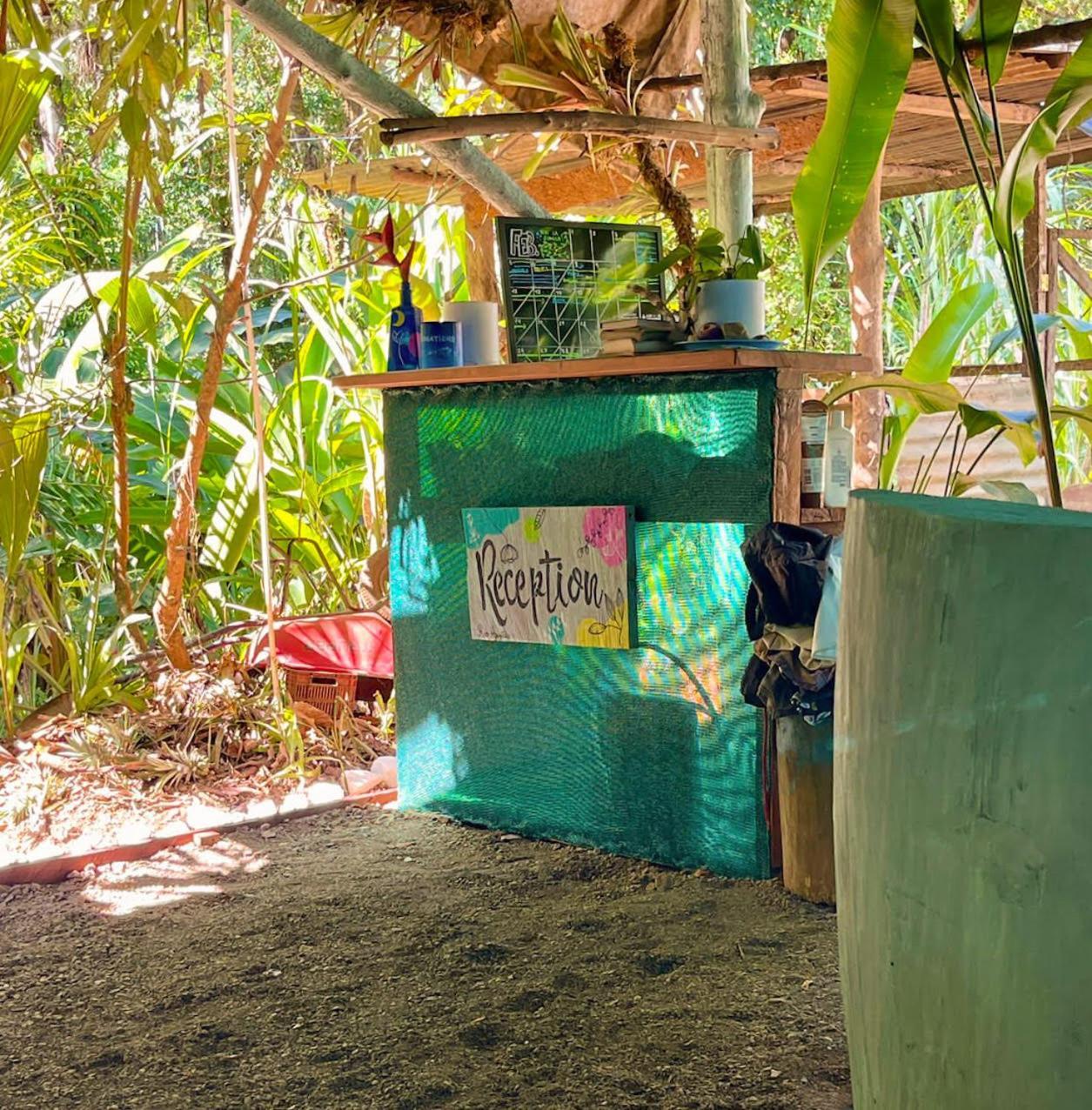 Rio Agujitas Eco Farm Hostel And Tours Дрейк Екстер'єр фото