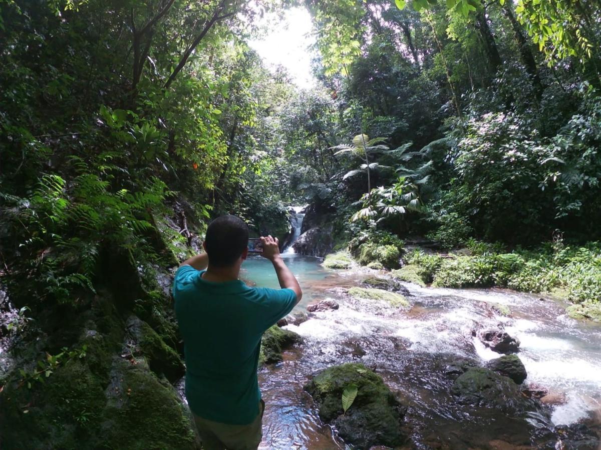 Rio Agujitas Eco Farm Hostel And Tours Дрейк Екстер'єр фото